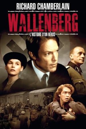 Wallenberg: Egy hős története poszter