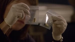 CSI: New York-i helyszínelők 7. évad Ep.5 Égből pottyant kincs