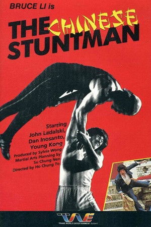 The Chinese Stuntman poszter