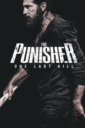 The Punisher: Az utolsó célpont poszter