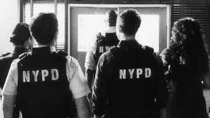 Brooklyn 99 - Nemszázas körzet kép