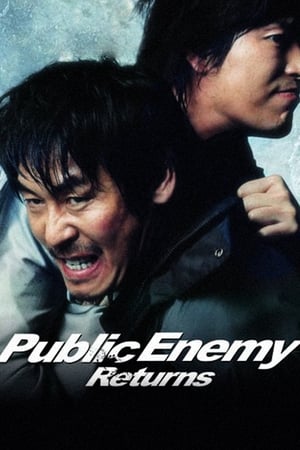Public Enemy Returns poszter
