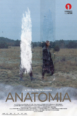Anatomia poszter