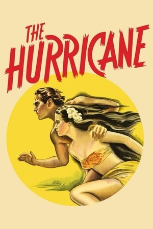 A hurrikán