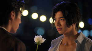 การเกิดใหม่ของดวงดาว kép