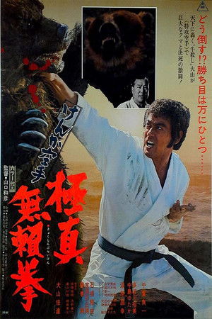 Karate Bear Fighter poszter