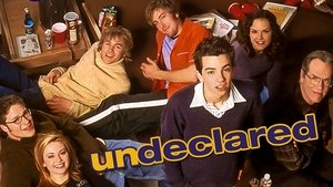 Undeclared kép