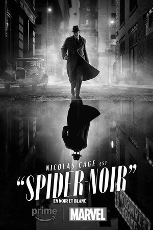 A Pók: Noir poszter