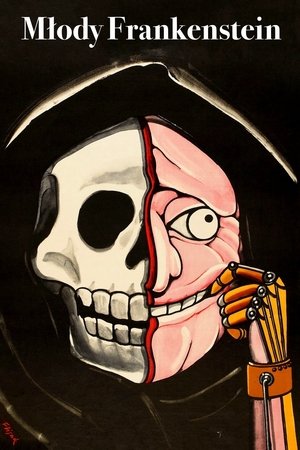 Az ifjú Frankenstein poszter
