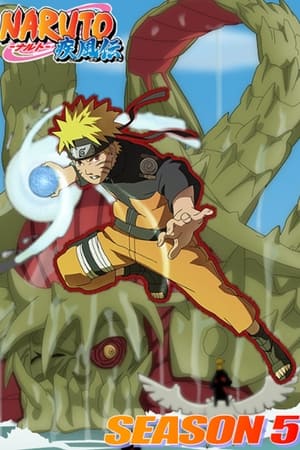 Naruto Shippuden 5. évad