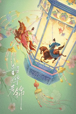 韶华若锦 poszter