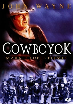 Cowboyok
