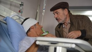 Bon Rétablissement ! háttérkép