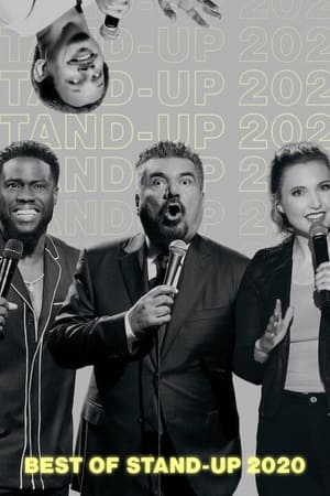 A stand-up legjava 2020