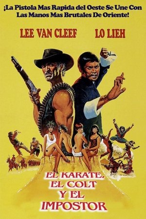 The Stranger and the Gunfighter poszter