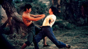 Őrült majom kung fu háttérkép