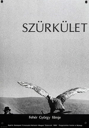 Szürkület poszter