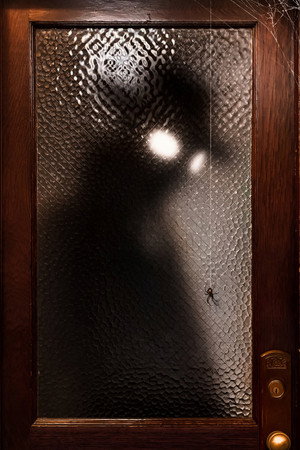 A Pók: Noir poszter