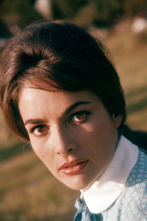 Karin Dor profil kép