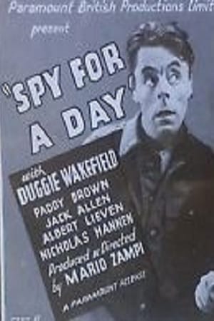 Spy for a Day poszter