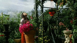 Hanging Garden háttérkép
