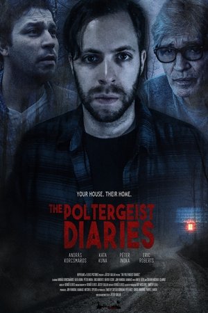 The Poltergeist Diaries poszter