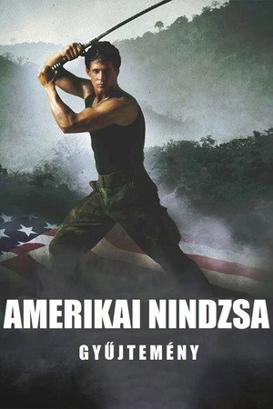 Amerikai nindzsa filmek
