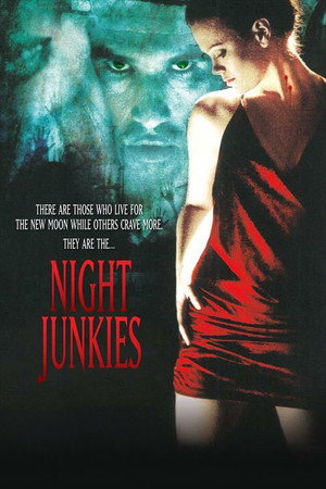 Night Junkies poszter