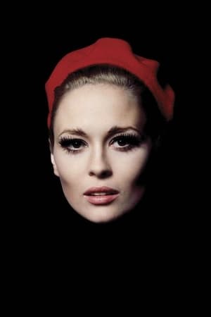 Faye Dunaway profil kép