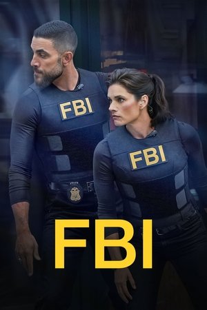 FBI: New York különleges ügynökei poszter