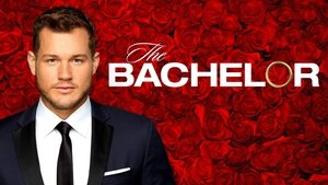 The Bachelor kép