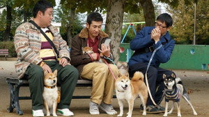 Shiba Park háttérkép