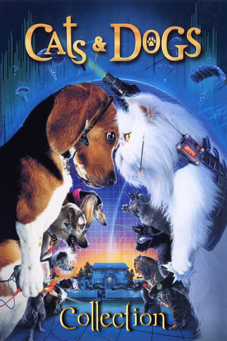 Kutyák és macskák gyűjtemény